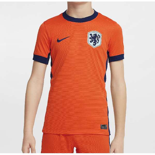 Camiseta holanda jr. 2024/25